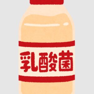 乳酸菌