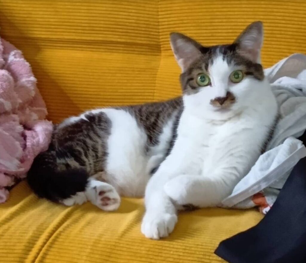 本当に良いパートナーてなんだろうを考えてみる